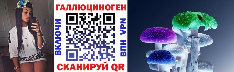Псилоцибиновые грибы Psilocybe Барыш